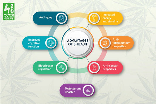 The Best Himalaya Shilajit Of 2025: With High % Fulvic Acid