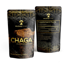 Chaga Mushroom
